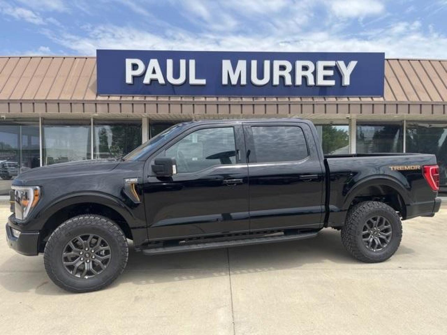 2023 Agate Black Metallic /Black Ford F-150 Tremor (1FTEW1E87PF) with an 3.5L V6 EcoBoost engine, Automatic transmission, located at 1105 E Mulberry, Kaufman, TX, 75142, (972) 962-2151, 32.589550, -96.300926 - Agate Black Metallic 2023 Ford F-150 4D SuperCrew Tremor 4WD 10-Speed Automatic 3.5L V6 EcoBoost 4WD.<br><br><br>Please call Paul Murrey Ford Inc. In Kaufman Texas A Family Dealership Since 1952 Serving the Dallas Fort Worth and East Texas areas for over 70 years. Please call 972-962-2151 www.murrey - Photo#0