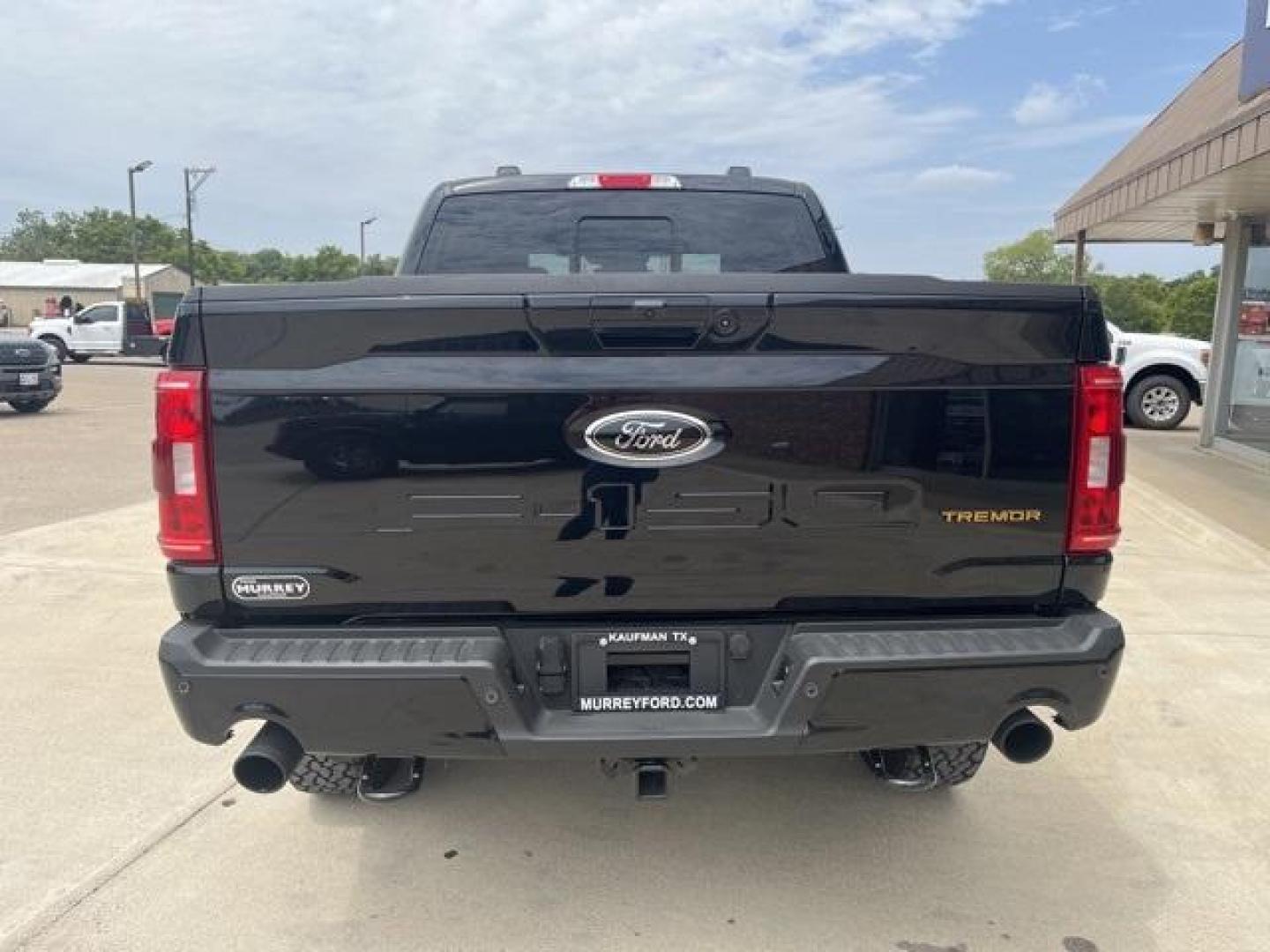 2023 Agate Black Metallic /Black Ford F-150 Tremor (1FTEW1E87PF) with an 3.5L V6 EcoBoost engine, Automatic transmission, located at 1105 E Mulberry, Kaufman, TX, 75142, (972) 962-2151, 32.589550, -96.300926 - Agate Black Metallic 2023 Ford F-150 4D SuperCrew Tremor 4WD 10-Speed Automatic 3.5L V6 EcoBoost 4WD.<br><br><br>Please call Paul Murrey Ford Inc. In Kaufman Texas A Family Dealership Since 1952 Serving the Dallas Fort Worth and East Texas areas for over 70 years. Please call 972-962-2151 www.murrey - Photo#4