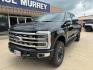 2024 Agate Black Metallic /Black Onyx Ford F-250SD Platinum (1FT8W2BM0RE) with an 6.7L High Output Power Stroke V8 Diesel engine, Automatic transmission, located at 1105 E Mulberry, Kaufman, TX, 75142, (972) 962-2151, 32.589550, -96.300926 - Agate Black Metallic 2024 Ford F-250SD 4D Crew Cab Platinum 4WD 10-Speed Automatic 6.7L High Output Power Stroke V8 Diesel 4WD.<br><br><br>Please call Paul Murrey Ford Inc. In Kaufman Texas A Family Dealership Since 1952 Serving the Dallas Fort Worth and East Texas areas for over 70 years. Please ca - Photo#1