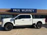 2024 Star White Metallic Tri-Coat /Black Onyx Ford F-250SD Platinum (1FT8W2BM1RE) with an 6.7L High Output Power Stroke V8 Diesel engine, Automatic transmission, located at 1105 E Mulberry, Kaufman, TX, 75142, (972) 962-2151, 32.589550, -96.300926 - Star White Metallic Tri-Coat 2024 Ford F-250SD 4D Crew Cab Platinum 4WD 10-Speed Automatic 6.7L High Output Power Stroke V8 Diesel 4WD.<br><br><br>Please call Paul Murrey Ford Inc. In Kaufman Texas A Family Dealership Since 1952 Serving the Dallas Fort Worth and East Texas areas for over 70 years. P - Photo#0