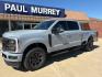 2024 Glacier Gray Metallic Tri-Coat /Black Onyx Ford F-250SD Lariat (1FT8W2BT5RE) with an Power Stroke 6.7L V8 DI 32V OHV Turbodiesel engine, Automatic transmission, located at 1105 E Mulberry, Kaufman, TX, 75142, (972) 962-2151, 32.589550, -96.300926 - Glacier Gray Metallic Tri-Coat 2024 Ford F-250SD 4D Extended Cab Lariat 4WD 10-Speed Automatic Power Stroke 6.7L V8 DI 32V OHV Turbodiesel 4WD.<br><br><br>Please call Paul Murrey Ford Inc. In Kaufman Texas A Family Dealership Since 1952 Serving the Dallas Fort Worth and East Texas areas for over 70 - Photo#2