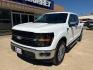 2024 Oxford White /Dark Slate Ford F-150 XLT (1FTFW3L56RK) with an 5.0L V8 engine, Automatic transmission, located at 1105 E Mulberry, Kaufman, TX, 75142, (972) 962-2151, 32.589550, -96.300926 - White / Oxford White 2024 Ford F-150 4D SuperCrew XLT 4WD 10-Speed Automatic 5.0L V8 4WD.<br><br>Recent Arrival!<br><br><br>Please call Paul Murrey Ford Inc. In Kaufman Texas A Family Dealership Since 1952 Serving the Dallas Fort Worth and East Texas areas for over 70 years. Please call 972-962-2151 - Photo#1