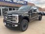 2024 Agate Black Metallic /Black Onyx Ford F-250SD Platinum (1FT8W2BM5RE) with an 6.7L High Output Power Stroke V8 Diesel engine, Automatic transmission, located at 1105 E Mulberry, Kaufman, TX, 75142, (972) 962-2151, 32.589550, -96.300926 - Agate Black Metallic 2024 Ford F-250SD 4D Extended Cab Platinum 4WD 10-Speed Automatic 6.7L High Output Power Stroke V8 Diesel 4WD.<br><br><br>Please call Paul Murrey Ford Inc. In Kaufman Texas A Family Dealership Since 1952 Serving the Dallas Fort Worth and East Texas areas for over 70 years. Pleas - Photo#1