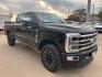 2024 Agate Black Metallic /Black Onyx Ford F-250SD Platinum (1FT8W2BM5RE) with an 6.7L High Output Power Stroke V8 Diesel engine, Automatic transmission, located at 1105 E Mulberry, Kaufman, TX, 75142, (972) 962-2151, 32.589550, -96.300926 - Agate Black Metallic 2024 Ford F-250SD 4D Extended Cab Platinum 4WD 10-Speed Automatic 6.7L High Output Power Stroke V8 Diesel 4WD.<br><br><br>Please call Paul Murrey Ford Inc. In Kaufman Texas A Family Dealership Since 1952 Serving the Dallas Fort Worth and East Texas areas for over 70 years. Pleas - Photo#6