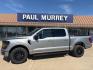 2024 Iconic Silver Metallic /Black Ford F-150 XLT (1FTFW3L88RK) with an 3.5L V6 EcoBoost engine, Automatic transmission, located at 1105 E Mulberry, Kaufman, TX, 75142, (972) 962-2151, 32.589550, -96.300926 - Iconic Silver Metallic 2024 Ford F-150 4D SuperCrew XLT 4WD 10-Speed Automatic 3.5L V6 EcoBoost 4WD.<br><br><br>Please call Paul Murrey Ford Inc. In Kaufman Texas A Family Dealership Since 1952 Serving the Dallas Fort Worth and East Texas areas for over 70 years. Please call 972-962-2151 www.murreyf - Photo#0