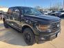 2024 Black /Black Ford F-150 XLT (1FTFW3L59RK) with an 5.0L V8 engine, Automatic transmission, located at 1105 E Mulberry, Kaufman, TX, 75142, (972) 962-2151, 32.589550, -96.300926 - Agate Black Metallic 2024 Ford F-150 4D SuperCrew XLT 4WD 10-Speed Automatic 5.0L V8 4WD.<br><br><br>Please call Paul Murrey Ford Inc. In Kaufman Texas A Family Dealership Since 1952 Serving the Dallas Fort Worth and East Texas areas for over 70 years. Please call 972-962-2151 www.murreyford.com www - Photo#7